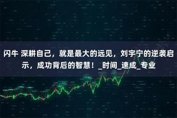 闪牛 深耕自己，就是最大的远见，刘宇宁的逆袭启示，成功背后的智慧！_时间_速成_专业