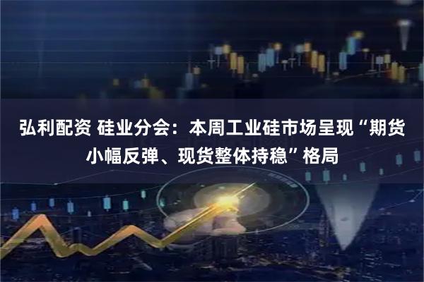 弘利配资 硅业分会：本周工业硅市场呈现“期货小幅反弹、现货整体持稳”格局