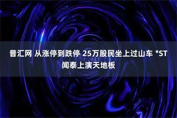 普汇网 从涨停到跌停 25万股民坐上过山车 *ST闻泰上演天地板
